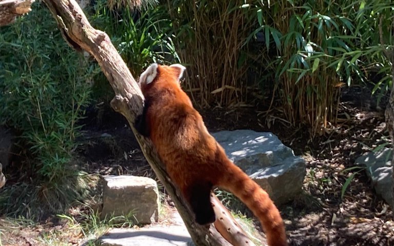 Zoobesuch in Leipzig