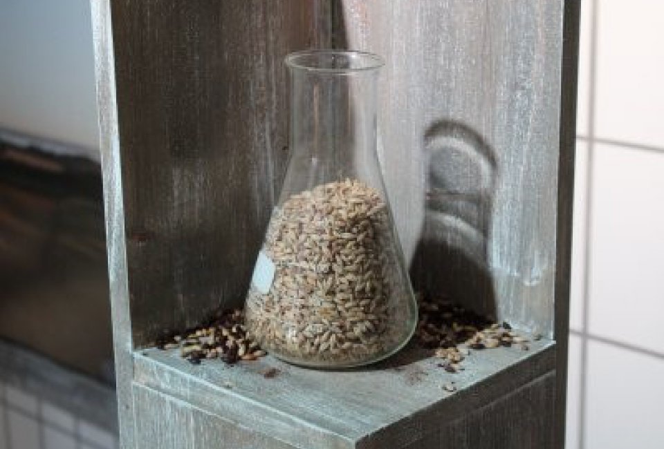 Exkursion zur Flensburger Brauerei