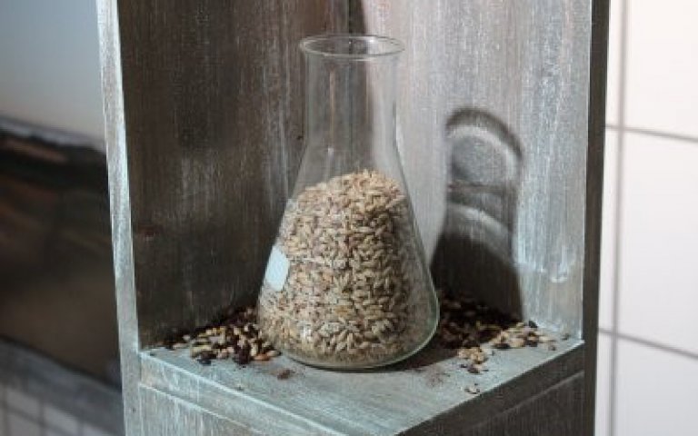 Exkursion zur Flensburger Brauerei